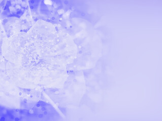 A blue abstract background with soft light going through. Blur blue abstract background design blue motion Light featuring soft artistic texture, A blue toned gradated background 