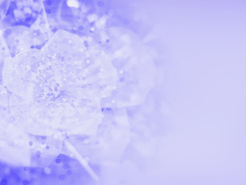 A blue abstract background with soft light going through. Blur blue abstract background design blue motion Light featuring soft artistic texture, A blue toned gradated background - Powered by Adobe