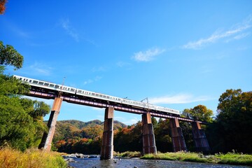 鉄橋を渡る列車