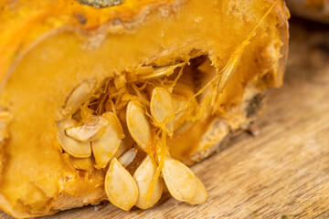 cut small pumpkins completely covered with harmful dangerous mold, spoiled pumpkins that have begun to rot and become covered with mold