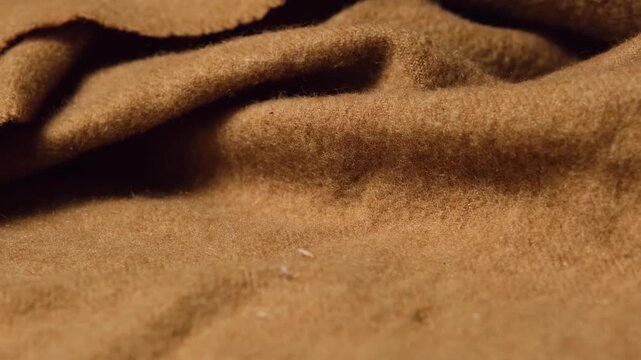 A moth butterfly moving around. Damaged fabrics with moth larvae cocoons and holes &mdash; pest infestation, textile damage, household pests, insect control. Moth hiding in clothes on the move.