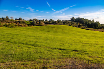 A vibrant green meadow on a sunlit hillside under a blue sky, with shrubs along the ridge creating a classically serene Mediterranean landscape. Sorgun, Antalya, Turkey.

