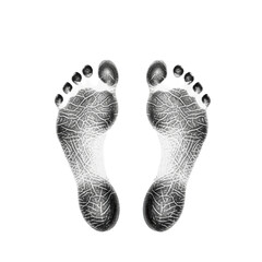 Naklejka premium Two distinct, ultra-detailed black ink human footprints with intricate skin ridges on a transparent surface, top-down macro shot, symbolizing foundational steps