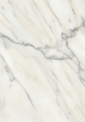 Obraz premium Marble Stone Texture Background - Close-up of a elegant white marble stone surface with grey veins. Perfect for backgrounds, textures, and design elements