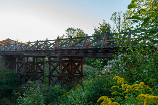 A wooden bridge with cross-beam supports stretches over dense green vegetation. Warm daylight reveals rich textures and natural tones, creating a scenic rural structure perfect for outdoor, travel or 