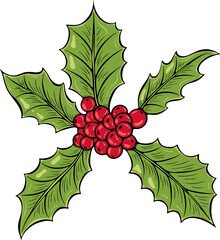 Christmas or New Year holly with green leaves and red berries. For card, sticker, holiday decoration. Simple vector color illustration with outline in hand drawn style isolated on white
