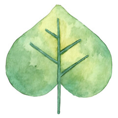 Stylized Watercolor Leaf with Green and Yellow Tones