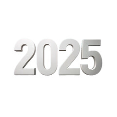 2025 year