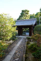 Obraz premium 京都の禅宗寺院の境内の風景