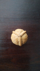Unique Walnut with Unusual Symmetrical Shell Shape Seen from Above on Dark Wooden Table_1