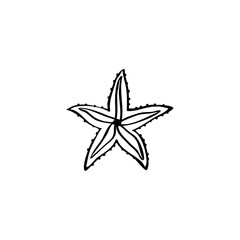 Sea star hand drawn vector illustration