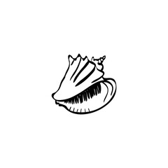 Seashell hand drawn vector illustration