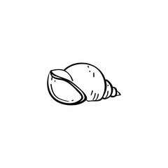 Seashell hand drawn vector illustration