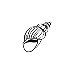 Seashell hand drawn vector illustration