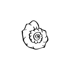 Seashell hand drawn vector illustration