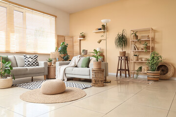 Interior of living room with sofas, wicker pouf and baskets with houseplants near window