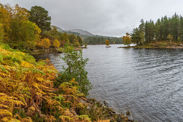 Autumn in Glen Affric, Scotland, UK