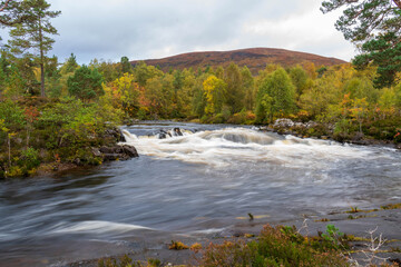 Autumn in Glen Affric, Scotland, UK