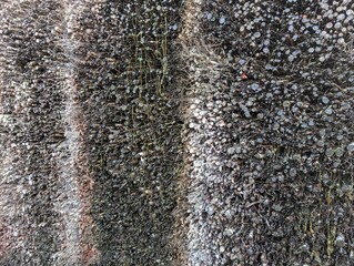 Birch branches soaked in salt in a healing cooling tower as a background.