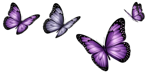 A collection of purple and grey butterflies flying in a graceful pattern isolated on white background