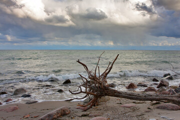 Stormy seascape with driftwood and rocks on a sandy beach
