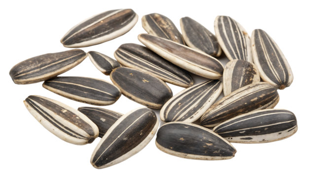 Pile of Striped Sunflower Seeds with Black and White Shells, cutout, PNG isolated on white or transparent background