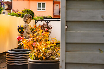 Fototapete bei efototapeten.de bestellen   