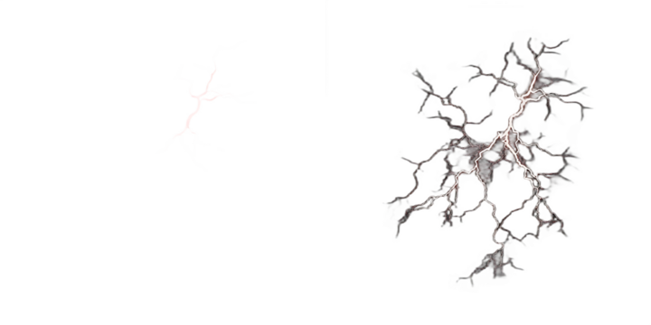 White lightning bolt branches on background isolated on a transparent background