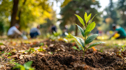 Young green sapling growing in rich soil with people planting trees together in a sunlit park during a collaborative environmental conservation event