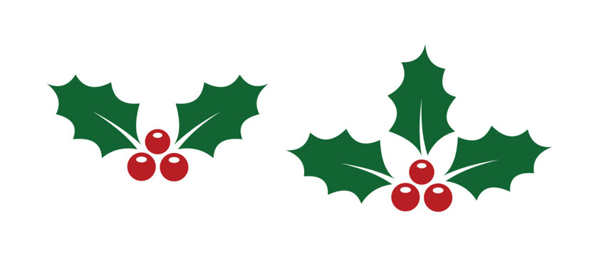 Christmas Holly Leaves and Berries &ndash; Festive Decoration Vector