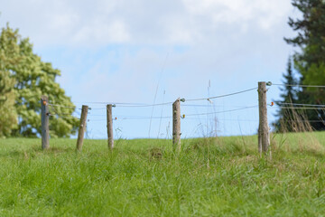 Obraz premium Wodden fence or barrier with electric wire at a pasture in the rural countryside in Germany, Europe