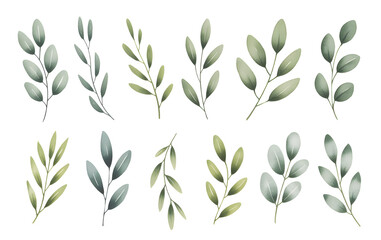 Hand painted watercolor green leaf collection isolated.