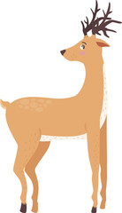 vector illustration of a reindeer