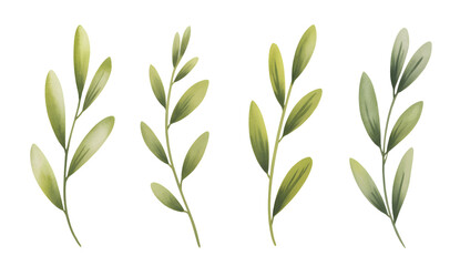 Hand painted watercolor green leaf collection isolated.