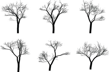 A diverse collection of elegant bare tree silhouettes, showcasing intricate branch patterns, perfect for seasonal graphic design projects and natural landscape compositions