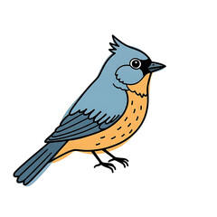 Obraz premium Bluebird illustration with orange accents standing on ground 