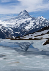 lake bachalpsee in swiss alps