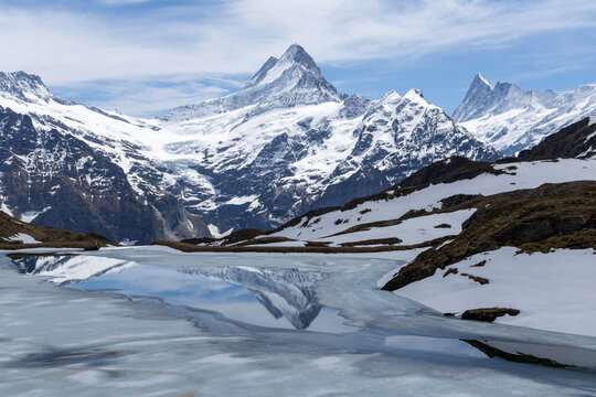lake bachalpsee in swiss alps