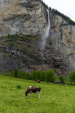 lauterbrunnen waterfall in swiss alps