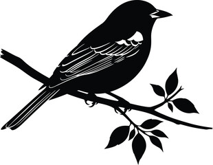 Black and white illustration of a bird perched on a branch