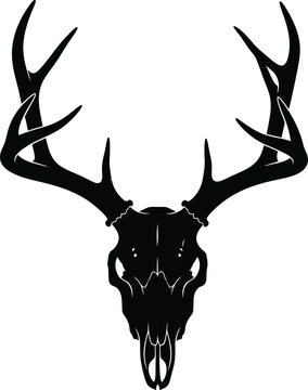 Black and white deer skull with antlers illustration for design projects