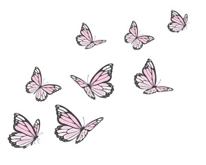 pink butterfly hand drawn design