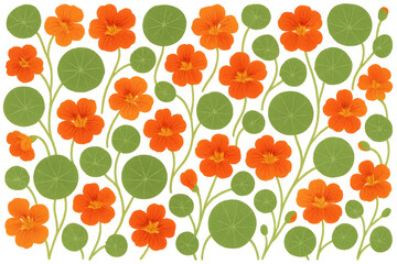 Nasturtium flowers and leaves forming a botanical pattern, vibrant orange and green floral design with transparent background