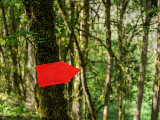 Bright red arrow sign showing direction and future path