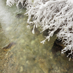 Tranquil winter stream with motion blur under snowy branches