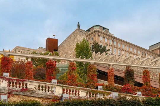 A part of Buda royal castle in Autunm. Amazing colorful trees sorrounding the historical old buildings.