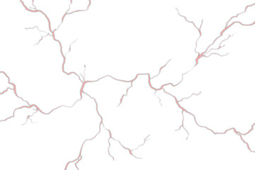 Seamless Abstract Biological Vascular Vein or Root Network Pattern with Transparent Background