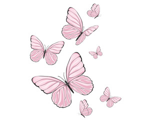 Fototapeta premium pink watercolor and butterflies illsutration 