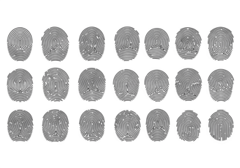 20 Synthetic Non Identifiable Fingerprint Patterns Loop Whorl Arch Isolated on Transparent Background PNG