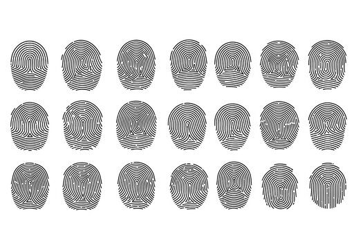 20 Synthetic Non Identifiable Fingerprint Patterns Loop Whorl Arch Isolated on Transparent Background PNG